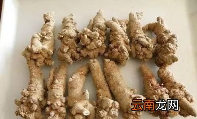 三七粉的功效与作用