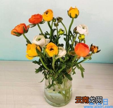 学做蛋糕大概要多少钱学费 学烘焙需要多少钱