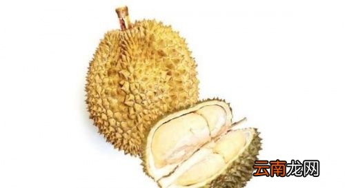榴莲里的水是什么