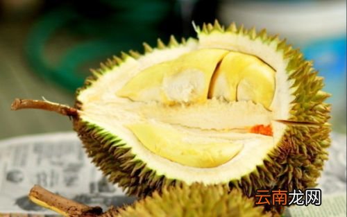 榴莲里的水是什么
