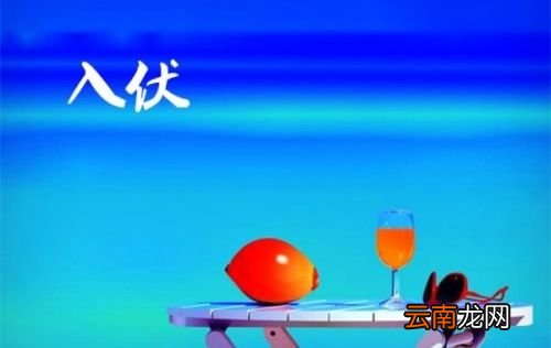 入伏以后应该注意些什么