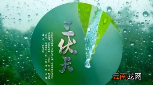 入伏后第一天注意什么