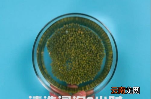 绿豆汤怎么煮才能解毒