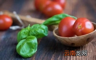生吃西红柿有何害处