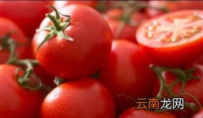 生吃西红柿的好处是什么如何生吃西红柿最营养