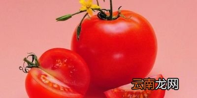 生吃西红柿有什么好处