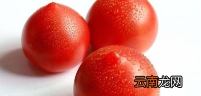 生吃西红柿有什么好处