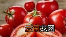 生吃西红柿的好处