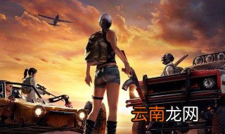 和平精英怎么搜索别人的名字 和平精英搜索玩家ID步骤