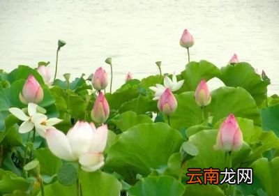 立秋之后天气还炎热吗