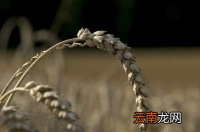 “立秋后天气还会炎热吗”