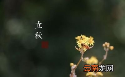 “立秋后天气还会炎热吗”