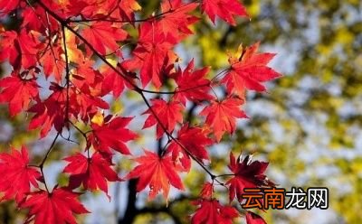 立秋过后天气还会炎热吗