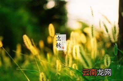 立秋过后天气还会炎热吗