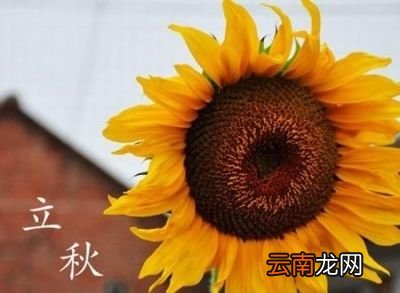 立秋以后还有“秋老虎”呢