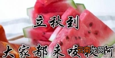 立秋以后还有“秋老虎”呢