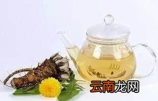 喝蒲公英水有哪些禁忌症呢