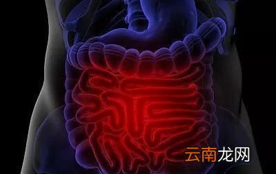 年底将至一杯蒲公英水有三大好处
