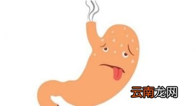 年底将至一杯蒲公英水有三大好处