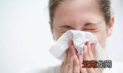 年底将至一杯蒲公英水有三大好处