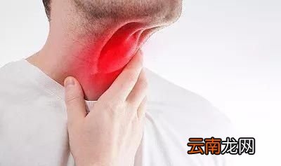 年底将至一杯蒲公英水有三大好处