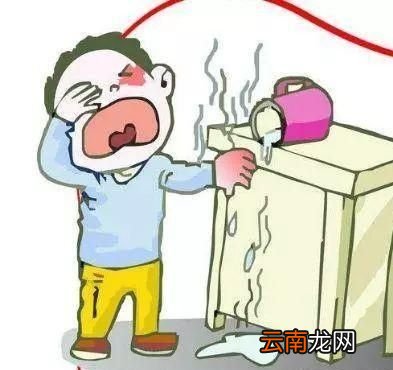 蒲公英泡水的禁忌你知道吗