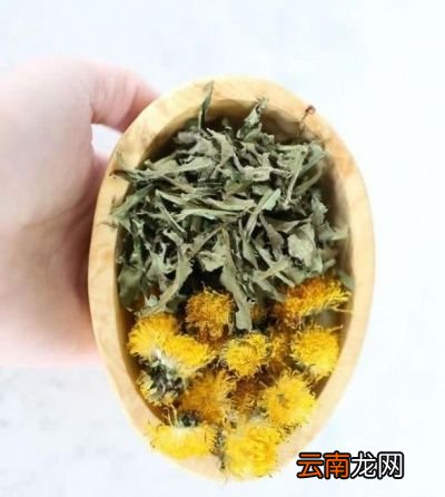 蒲公英泡水的禁忌你知道吗