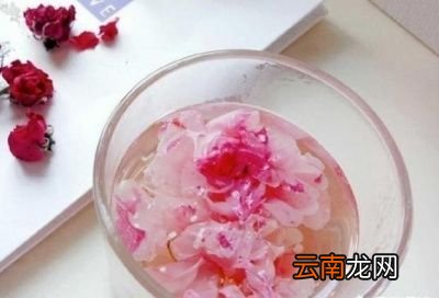 蒲公英泡水的禁忌你知道吗