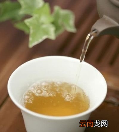 蒲公英泡水的禁忌你知道吗