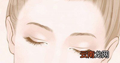 蒲公英泡水的禁忌你知道吗