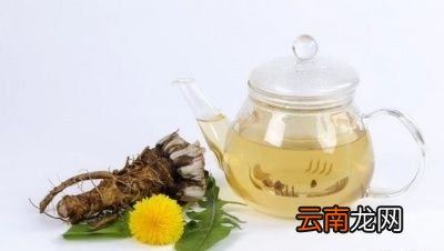 蒲公英泡水有8大好处