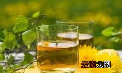 蒲公英泡水有8大好处