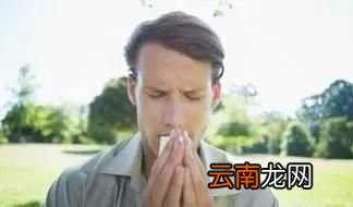 蒲公英泡水有8大好处