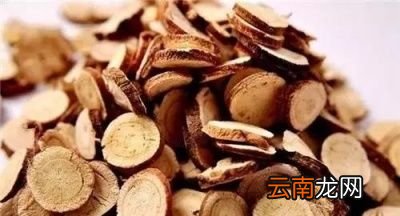 蒲公英泡水有8大好处