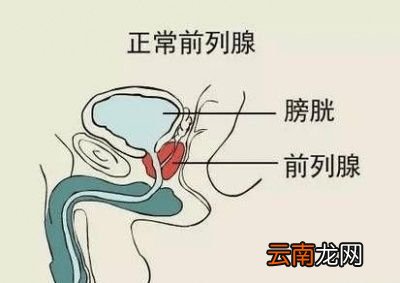 骑行时如何减轻对前列腺的伤害