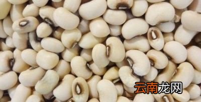 吃什么能健脾补肾