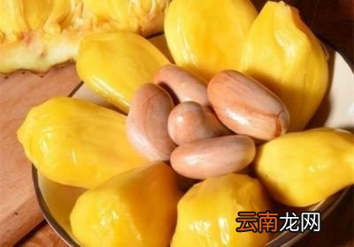如何区分菠萝蜜是干苞还是湿苞