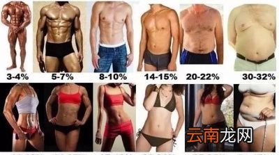 胖子直接增肌会怎么样