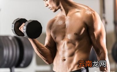 什么是增肌和减脂