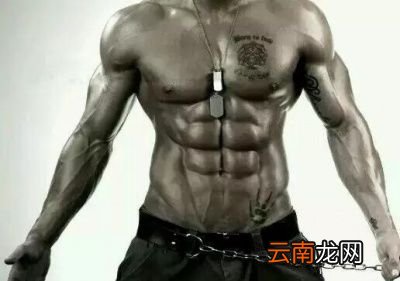 减脂和增肌真的不能同时进行吗