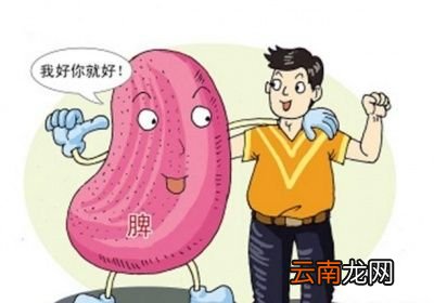 减脂如何进行呢