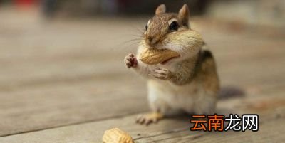 哪类人群不能吃花生