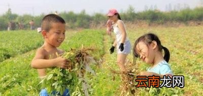 哪类人群不能吃花生