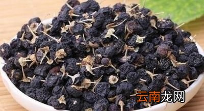 多喝黑枸杞有什么好处