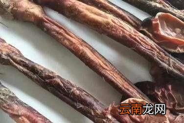 吃腰子真的能补肾吗