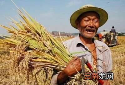 立秋前后下雨好处就是“气温会变的凉爽”
