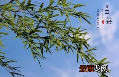 立秋前后下雨好处就是“气温会变的凉爽”