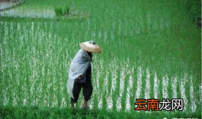 对于农村生活的好处