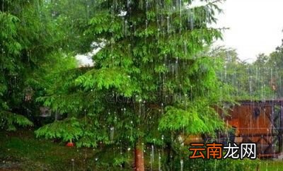 立秋节气下场雨能带来那两大好处