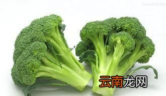 西兰花不能和什么一起吃